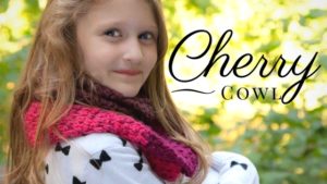 Cherry Cowl Free Pattern and Sweet Roll Review | KT and the Squid