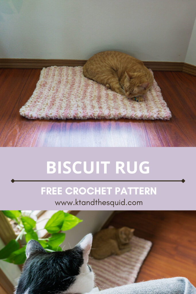 Biscuit Rug Free Crochet Pattern